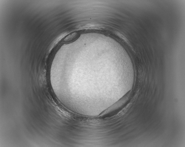 X0000064041066200602171638