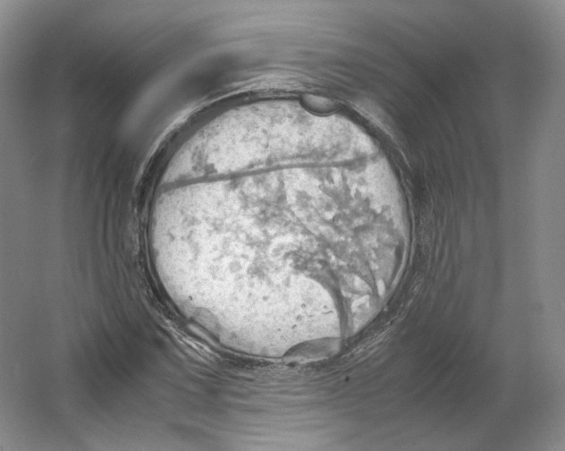 X0000064041067200602171638