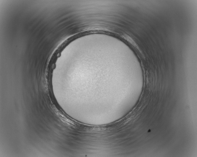 X0000064041068200602171638