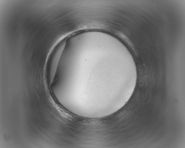 X0000064041072200602171638