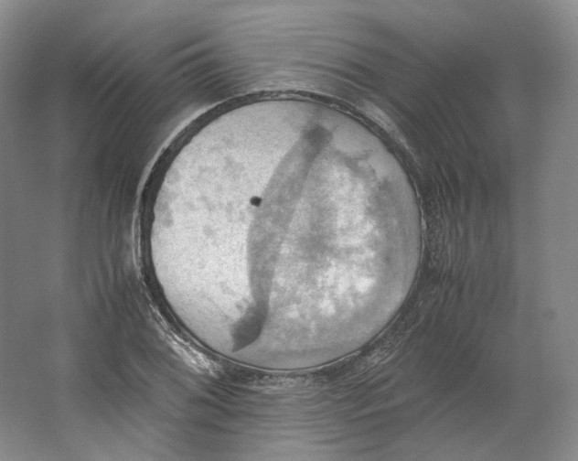 X0000064041076200602171638