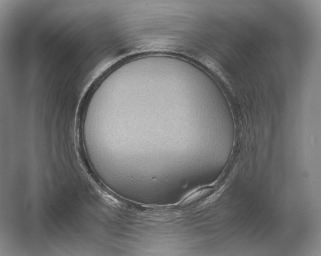 X0000064041077200602171638