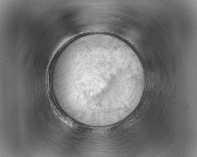 X0000064041078200602171638