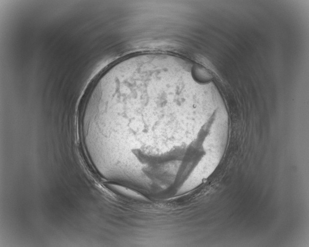 X0000064041079200602171638