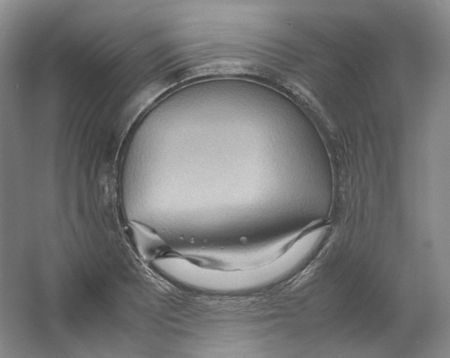 X0000064041081200602171638