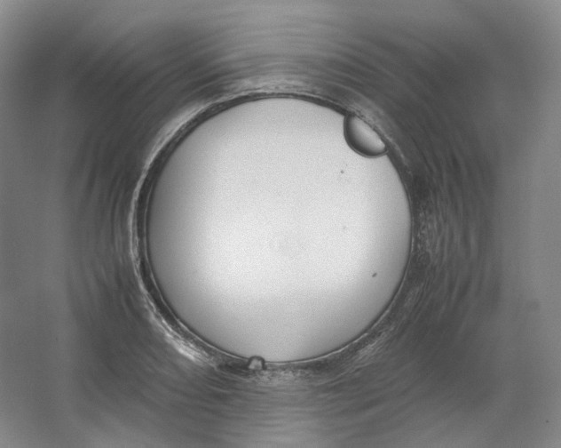 X0000064041082200602171638