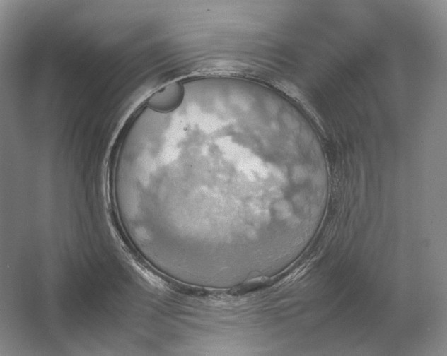 X0000064041083200602171638