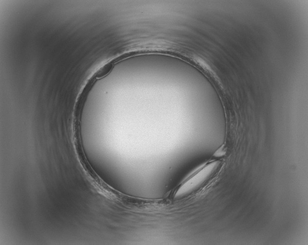 X0000064041085200602171638