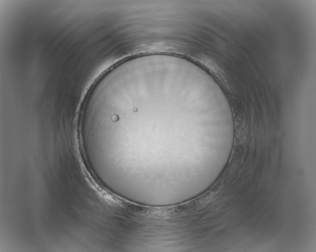 X0000064041086200602171638