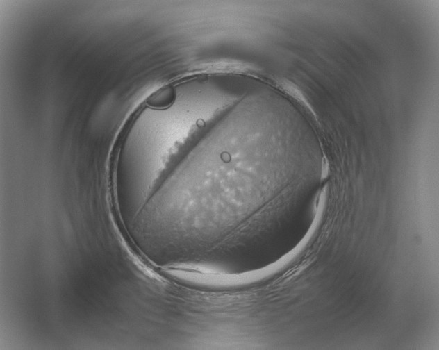 X0000064041087200602171638