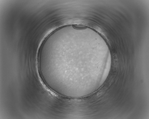 X0000064041088200602171638