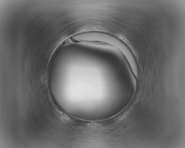 X0000064041089200602171638