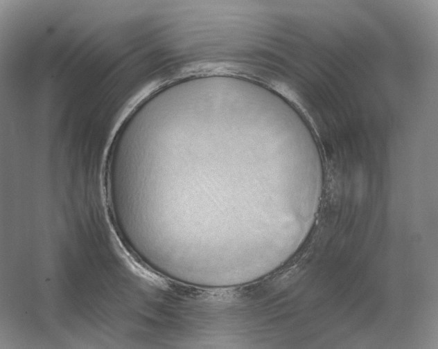 X0000064041090200602171638