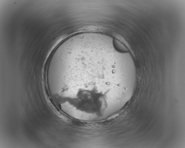 X0000064041091200602171638