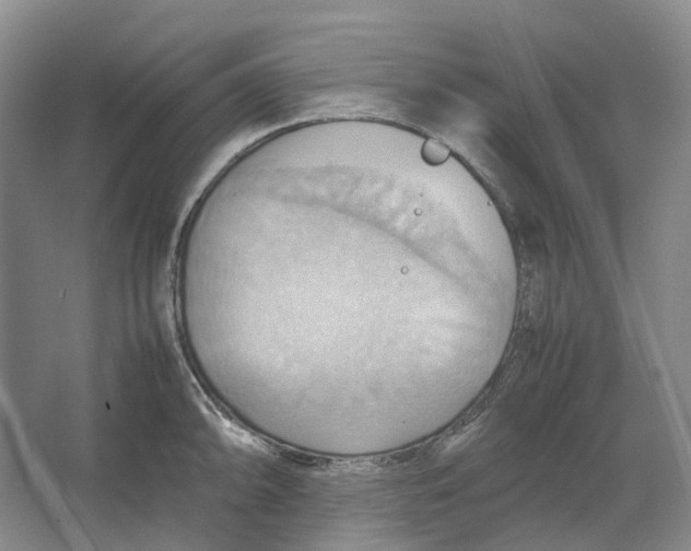 X0000064041094200602171638