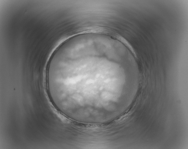 X0000064041099200602171638