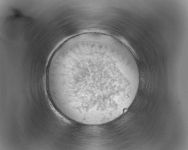 X0000064041100200602171638