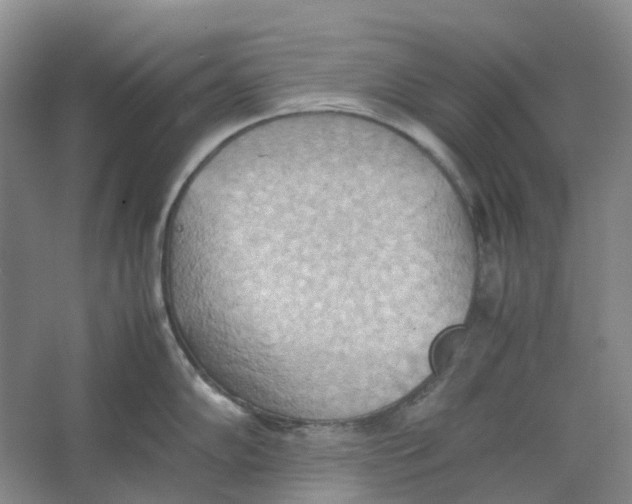 X0000064041102200602171638