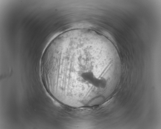 X0000064041103200602171638