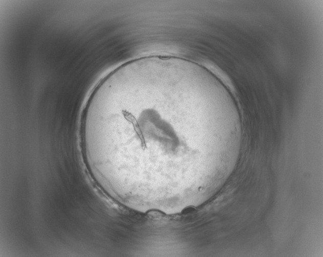 X0000064041104200602171638