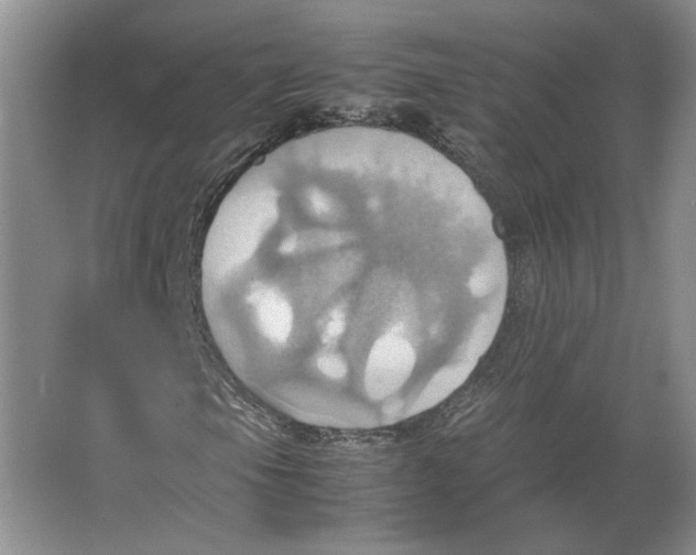 X0000064041105200602171637