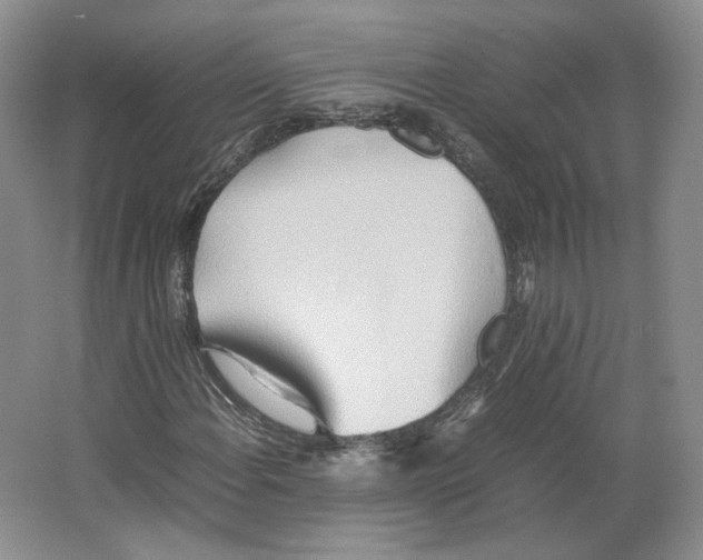 X0000064041108200602171637