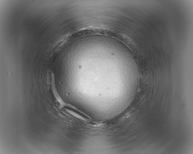 X0000064041110200602171637