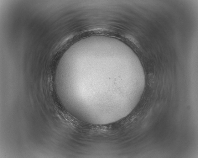 X0000064041111200602171637