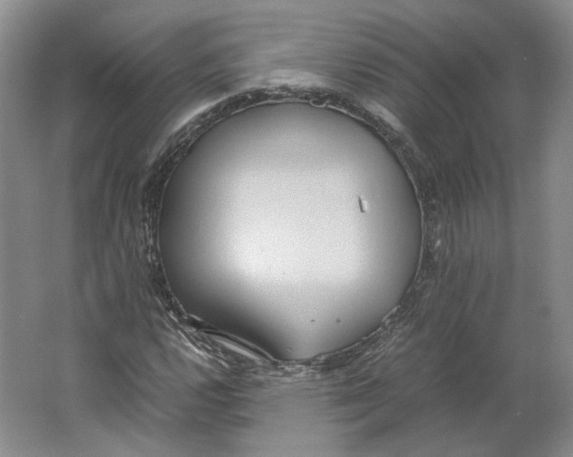 X0000064041112200602171637