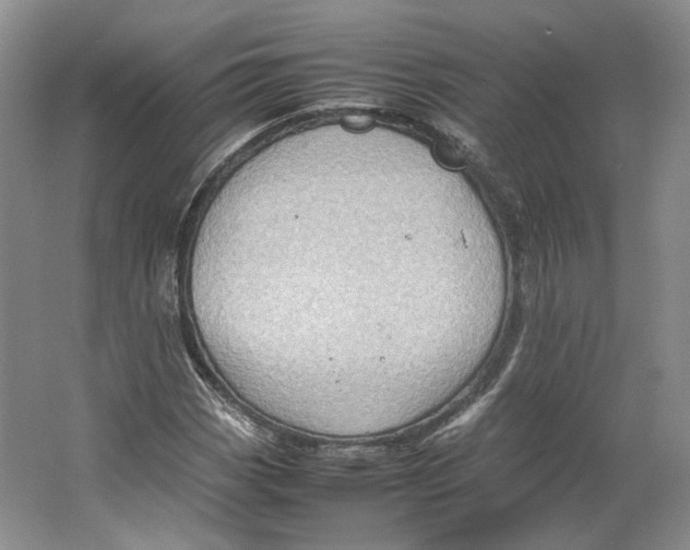 X0000064041113200602171637