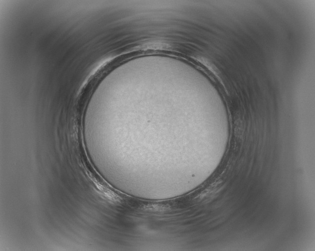 X0000064041115200602171637