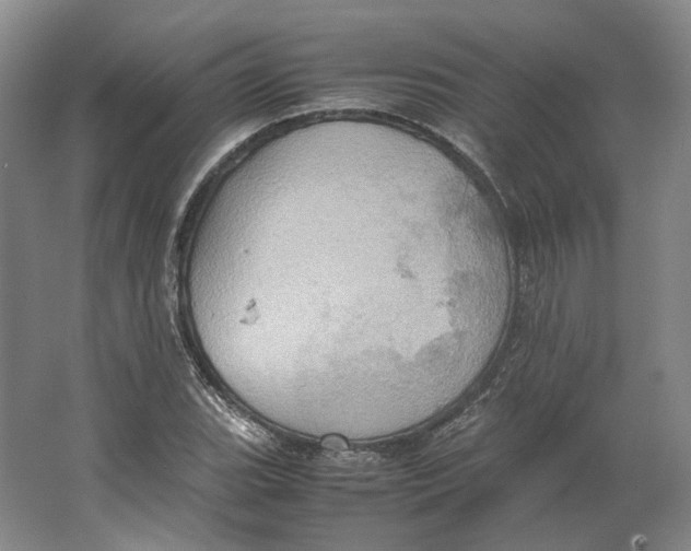 X0000064041119200602171637