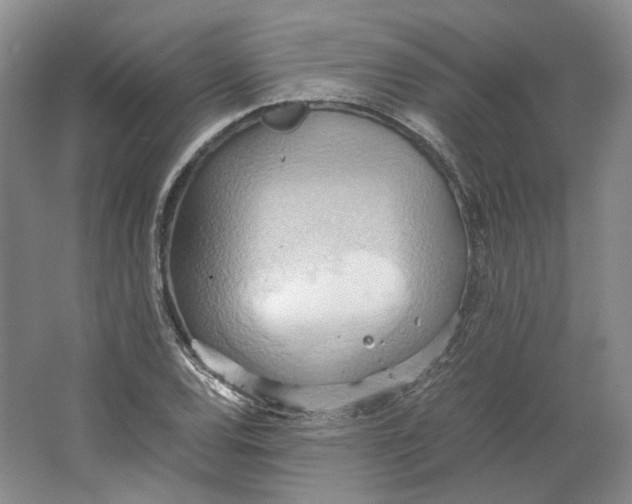 X0000064041120200602171637