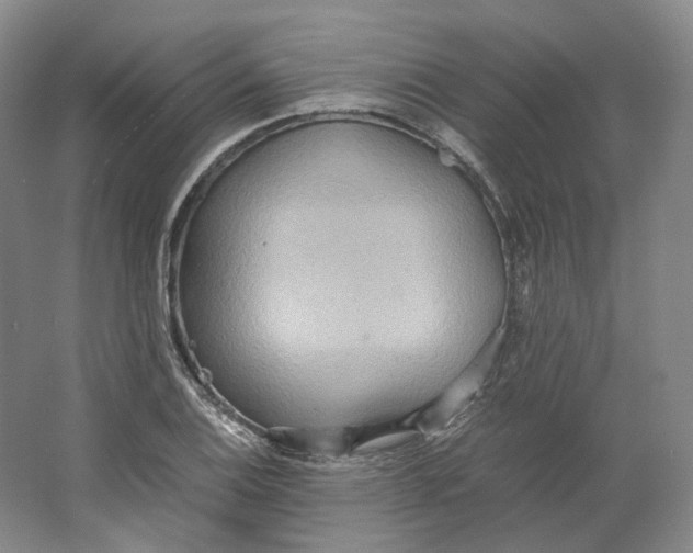 X0000064041124200602171637