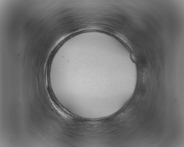 X0000064041127200602171637