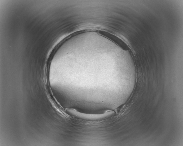 X0000064041128200602171637