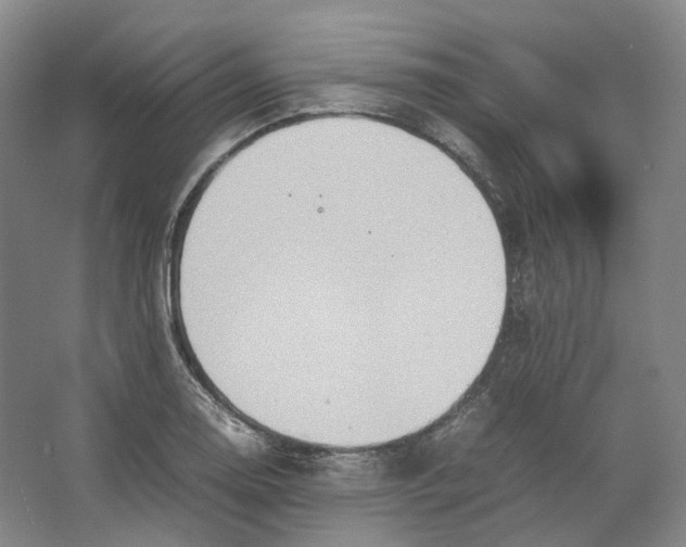 X0000064041130200602171637