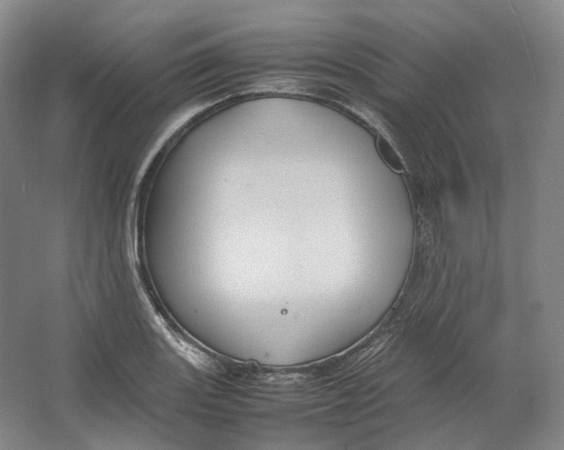 X0000064041131200602171637