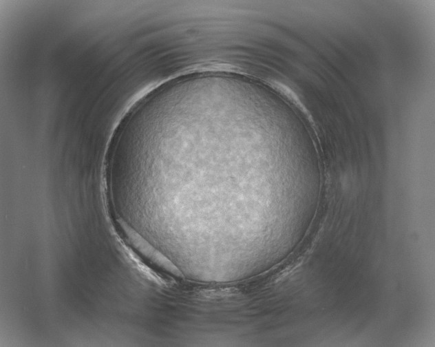 X0000064041133200602171637