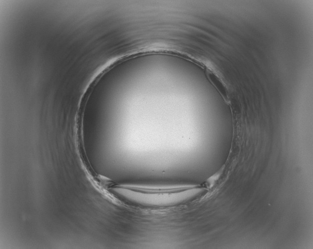 X0000064041134200602171637