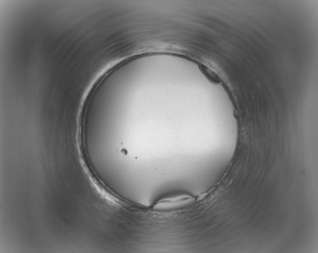 X0000064041136200602171637