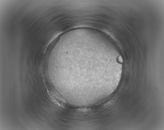 X0000064041137200602171637