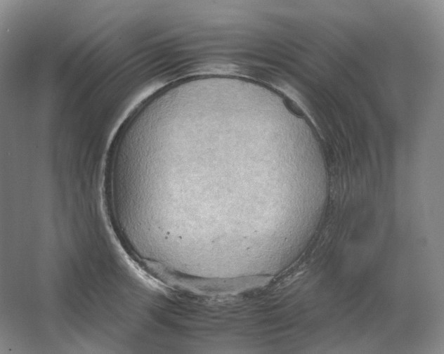 X0000064041139200602171637