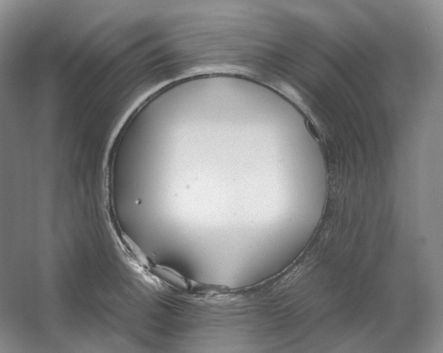 X0000064041140200602171637