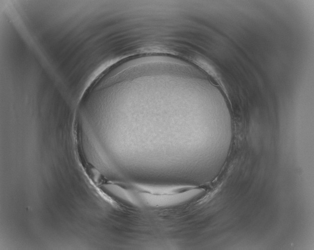 X0000064041141200602171637