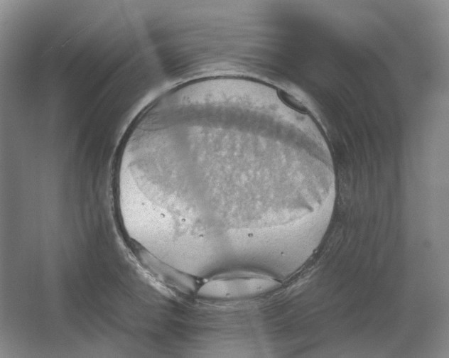 X0000064041142200602171637