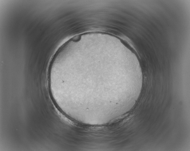 X0000064041143200602171637