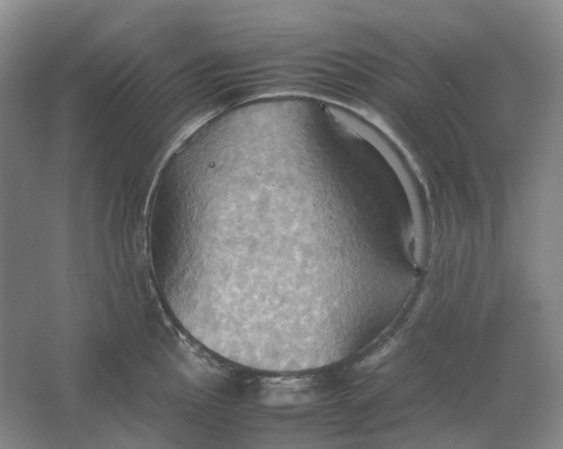 X0000064041145200602171637