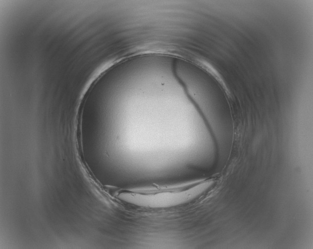 X0000064041146200602171637