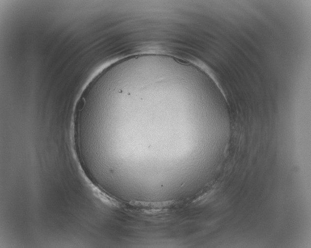 X0000064041147200602171637